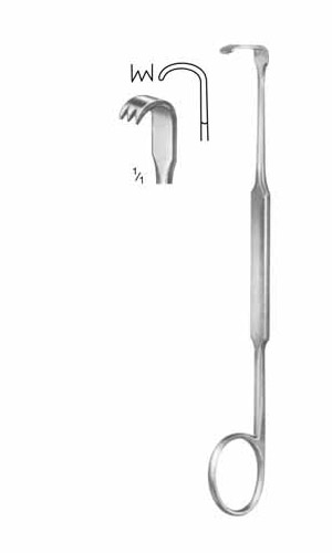Hooklets